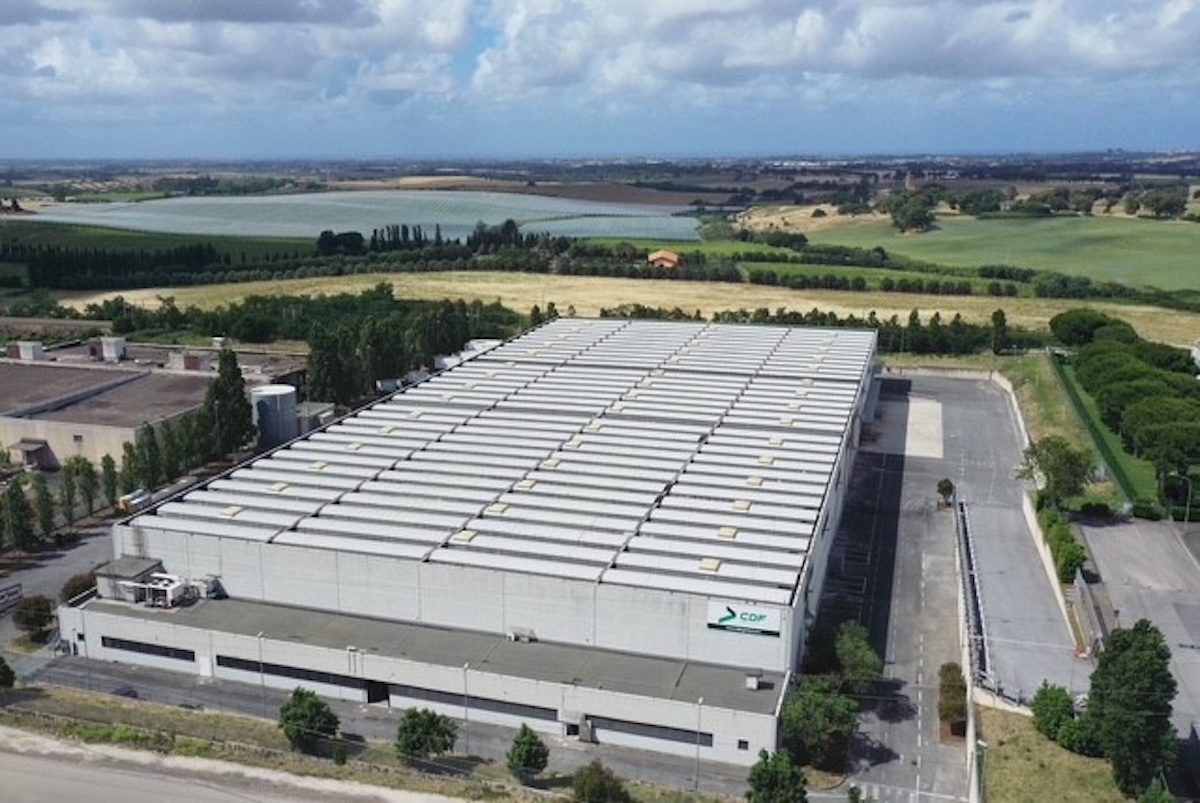 CDF Logistica: innovazione digitale e TMS per rivoluzionare la logistica della GDO